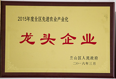 龍頭企業(yè)2015.jpg